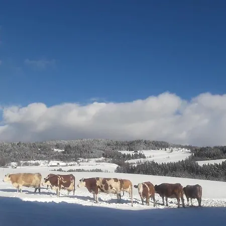 Фермерский дом Naturpark Bauernhof Sperl