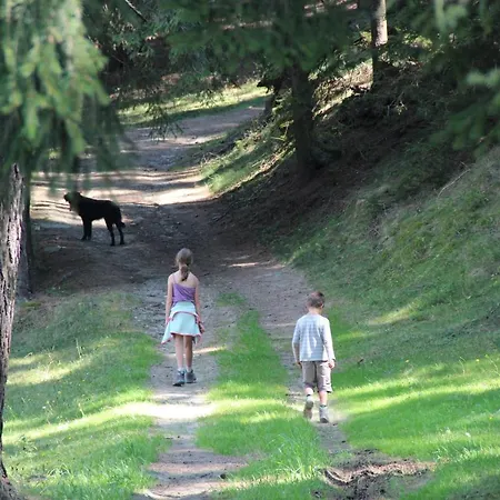 Farm stay Naturpark Bauernhof Sperl *