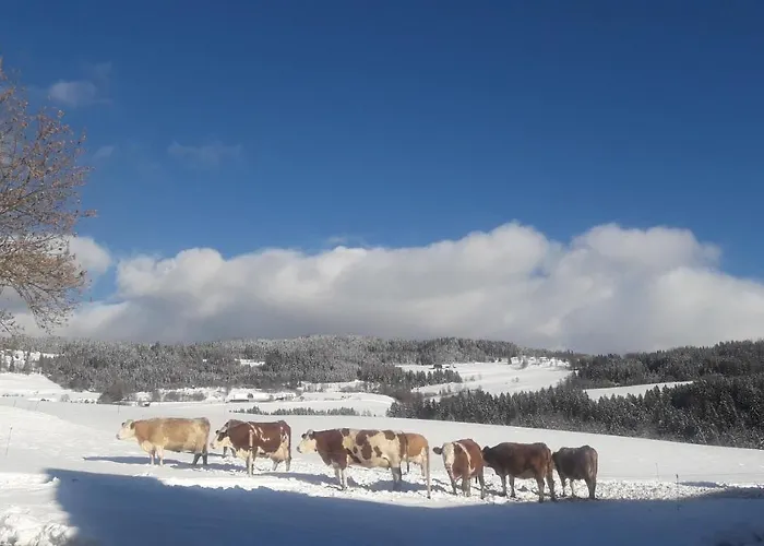 Agroturismo Naturpark Bauernhof Sperl