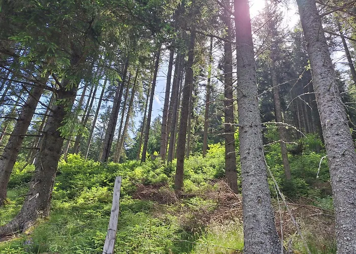 Naturpark Bauernhof Sperl