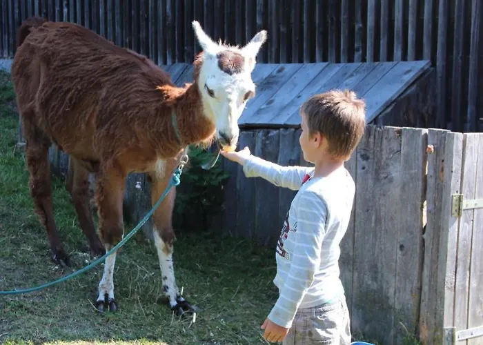 Naturpark Bauernhof Sperl *