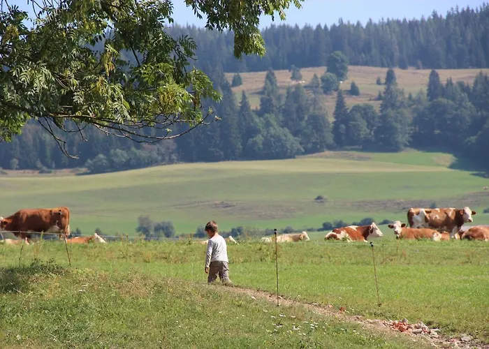 Farma Naturpark Bauernhof Sperl Mariahof